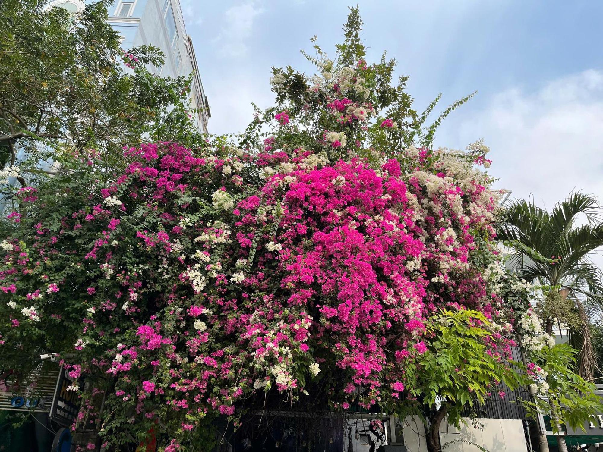 Hotel Nguyen Anh Bandar Ho Chi Minh Luaran gambar